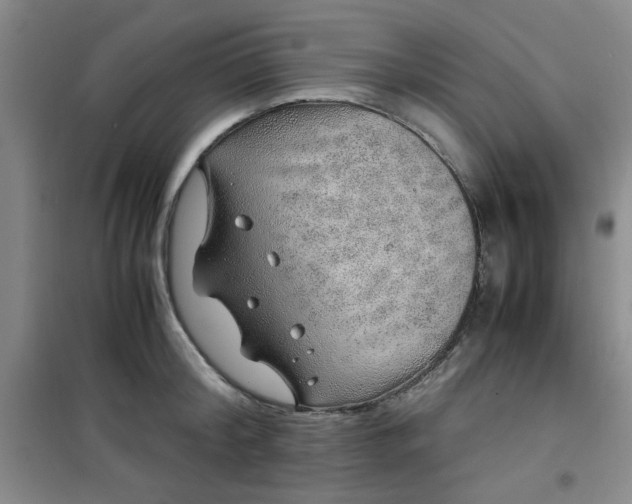 X0000100950804200807081217