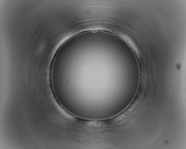 X0000100950805200807081217