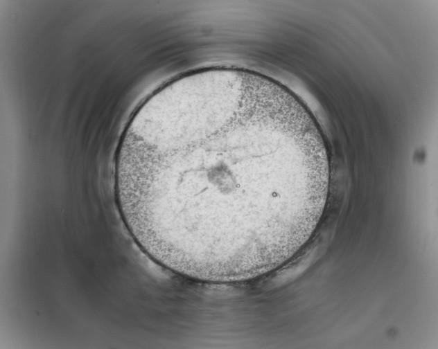 X0000100950807200807081217