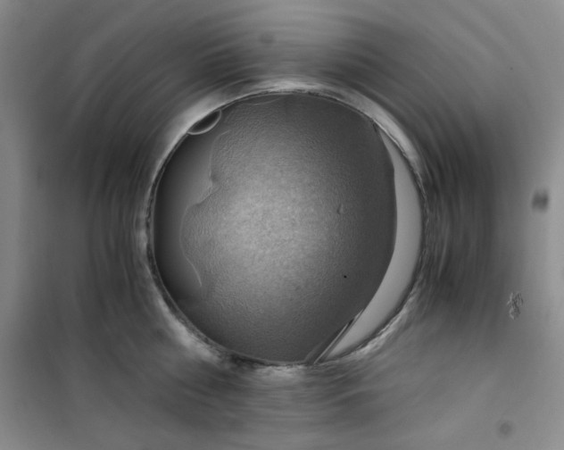 X0000100950810200807081217