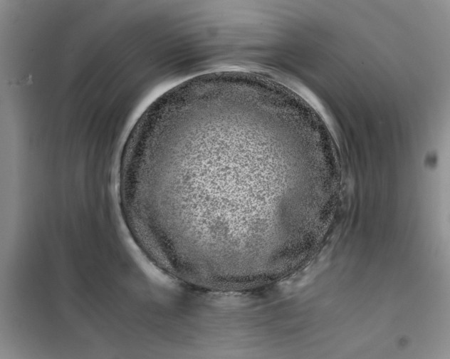 X0000100950811200807081217