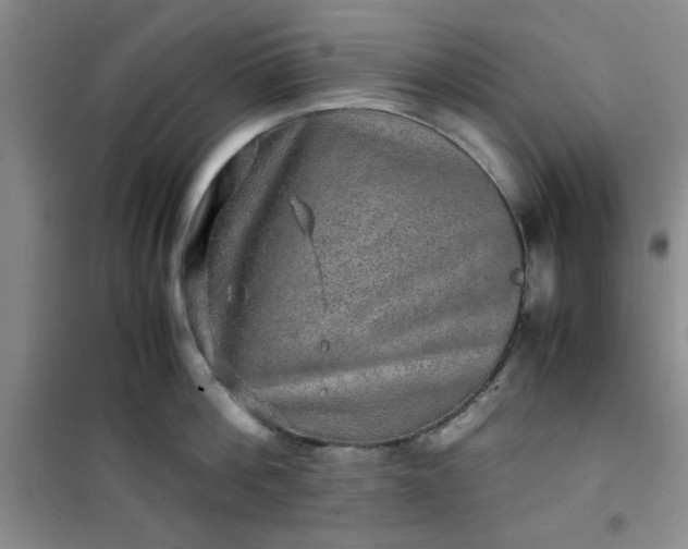 X0000100950812200807081217