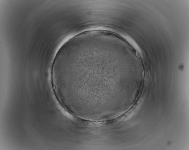 X0000100950813200807081217