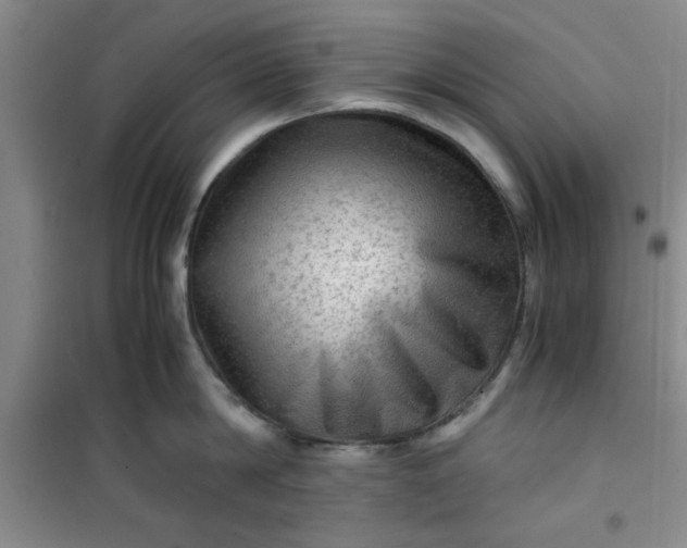 X0000100950814200807081217