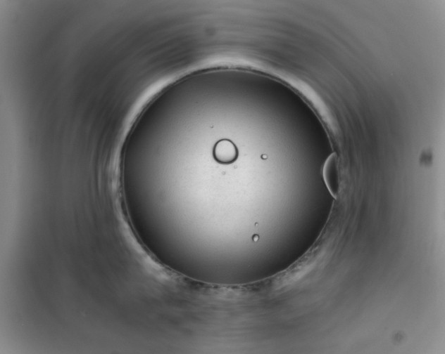 X0000100950815200807081217