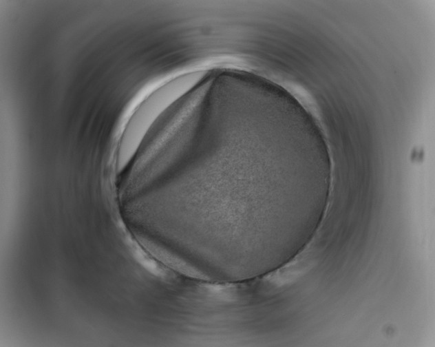 X0000100950816200807081217