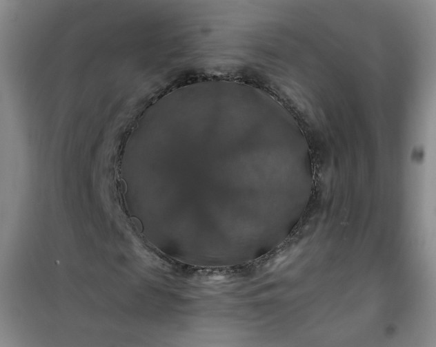 X0000100950817200807081216