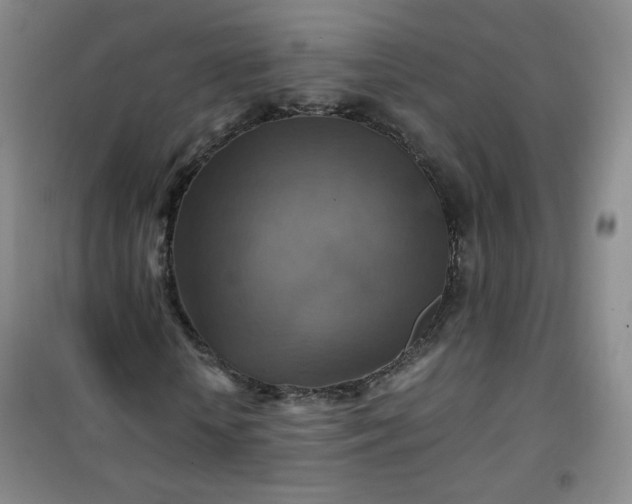 X0000100950818200807081216