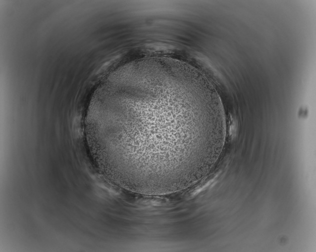 X0000100950819200807081216