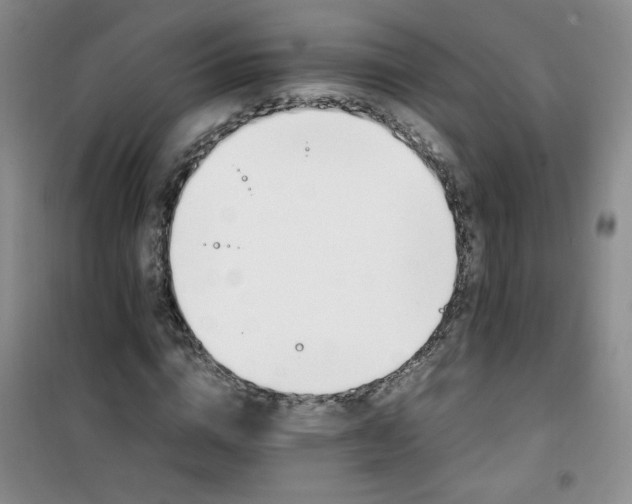 X0000100950824200807081216