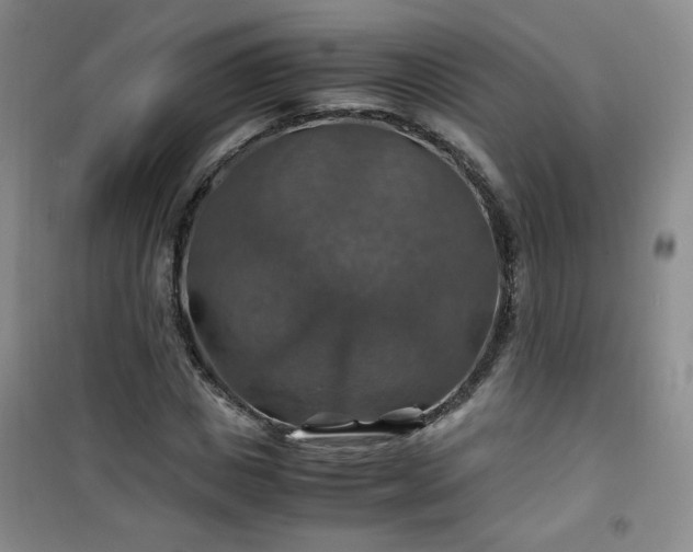 X0000100950825200807081216