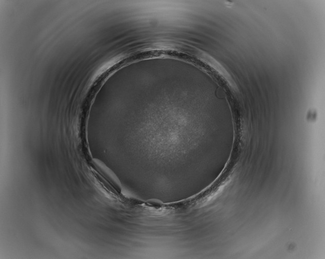 X0000100950826200807081216