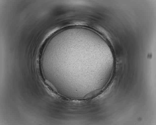 X0000100950827200807081216