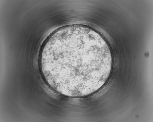 X0000100950828200807081216