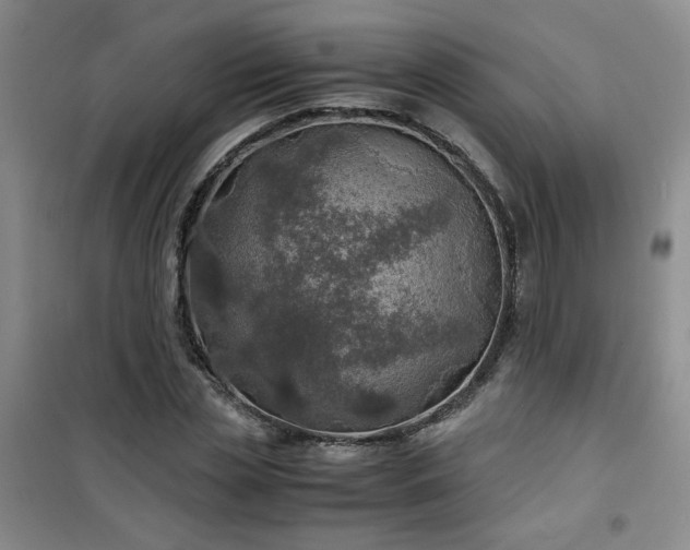 X0000100950829200807081216