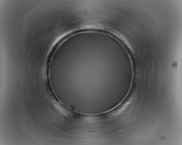 X0000100950830200807081216