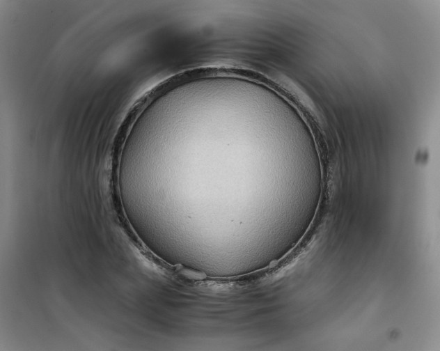 X0000100950831200807081216