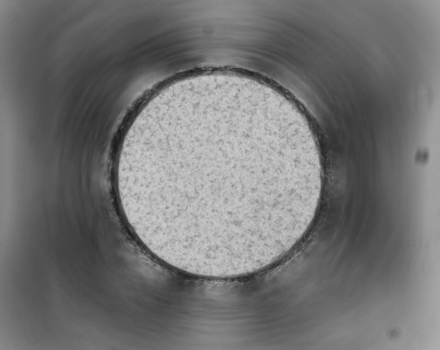 X0000100950832200807081216