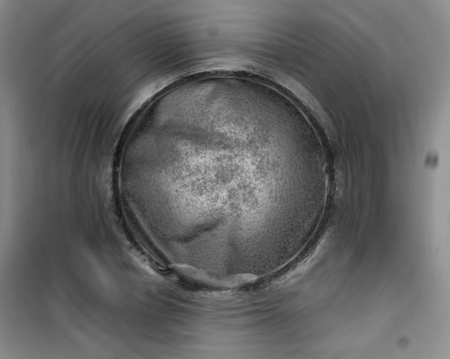 X0000100950834200807081216