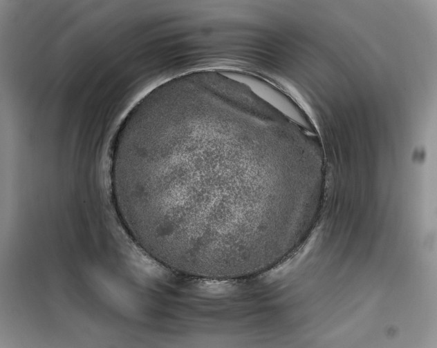 X0000100950835200807081216