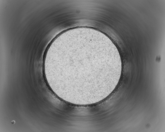 X0000100950836200807081216