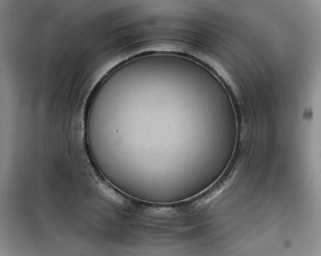 X0000100950837200807081216