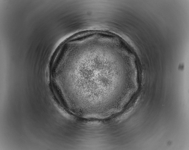 X0000100950838200807081216