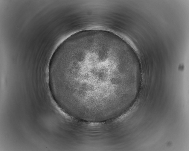 X0000100950839200807081216