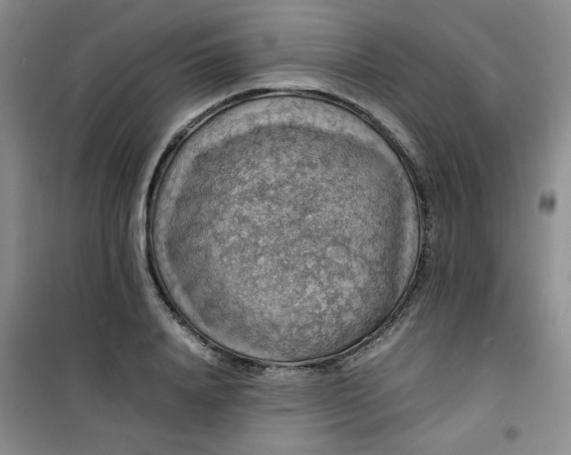 X0000100950840200807081216