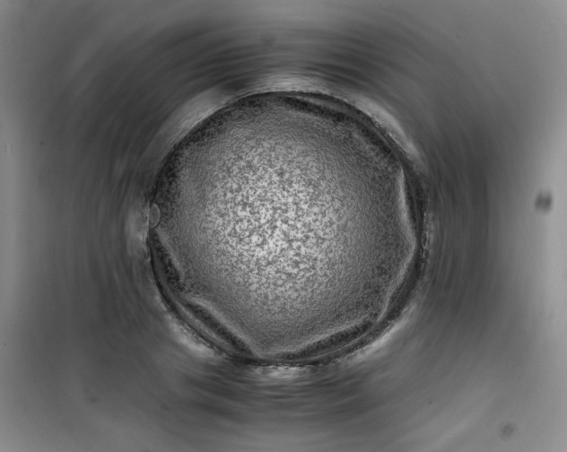 X0000100950841200807081216