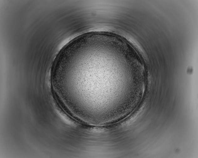 X0000100950842200807081216