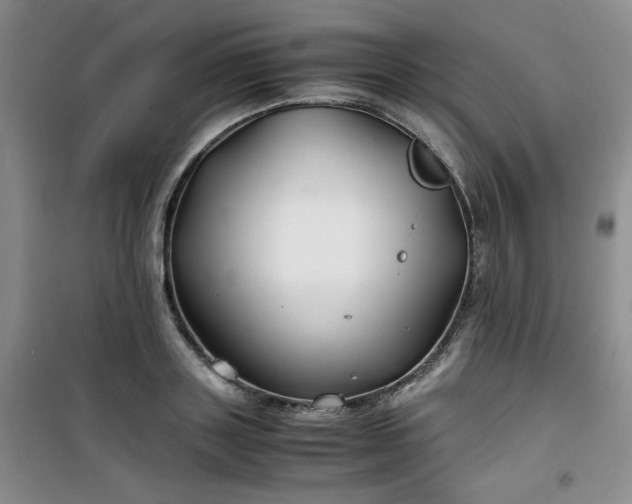 X0000100950843200807081216