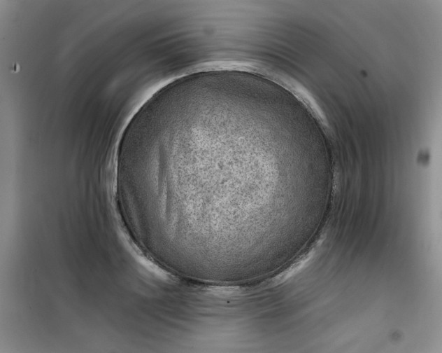 X0000100950844200807081216