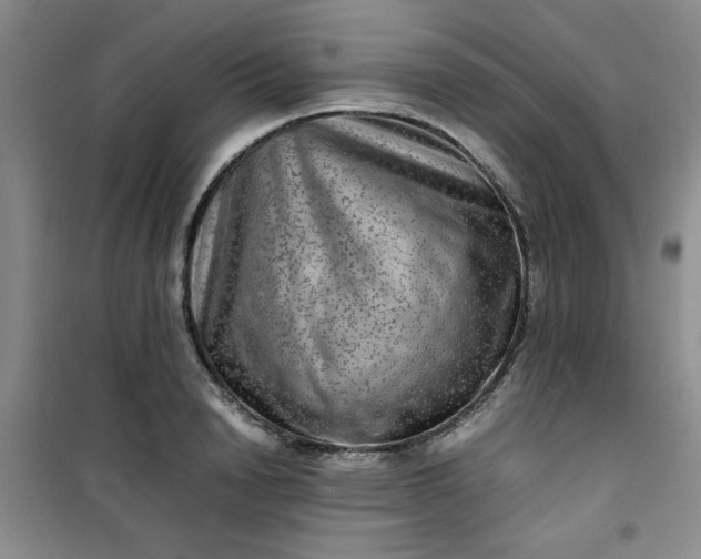 X0000100950846200807081216