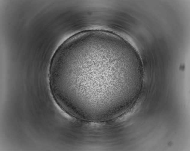 X0000100950847200807081216