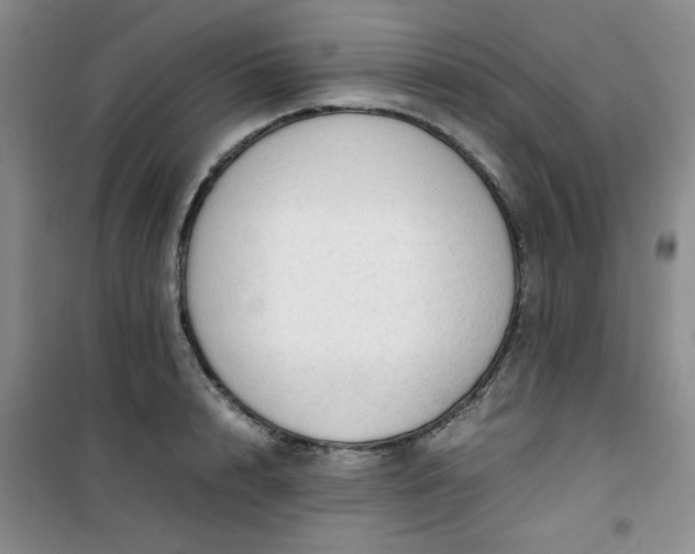 X0000100950848200807081216