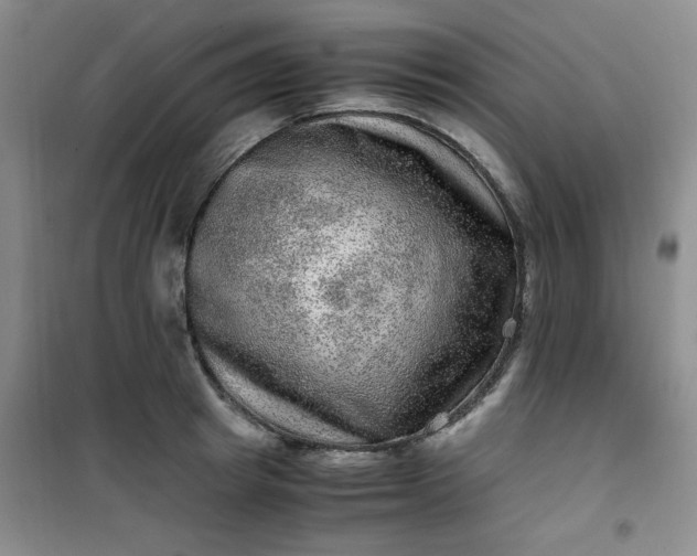 X0000100950849200807081216