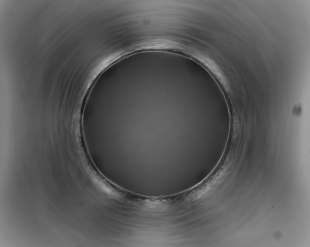 X0000100950850200807081216