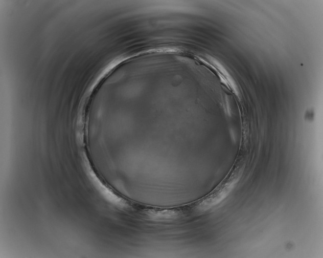 X0000100950851200807081216