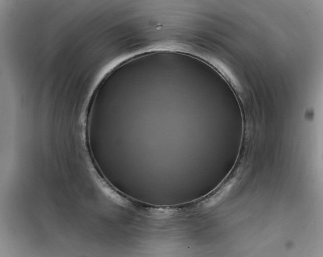 X0000100950854200807081216