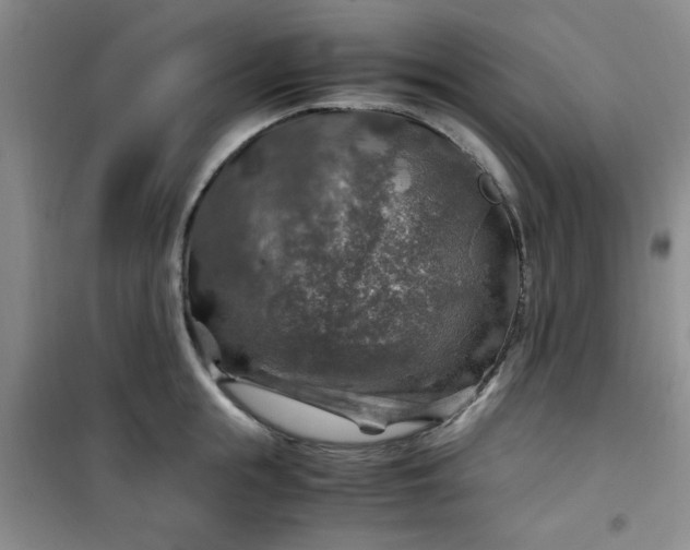 X0000100950855200807081216