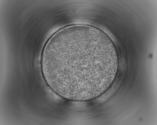 X0000100950856200807081217