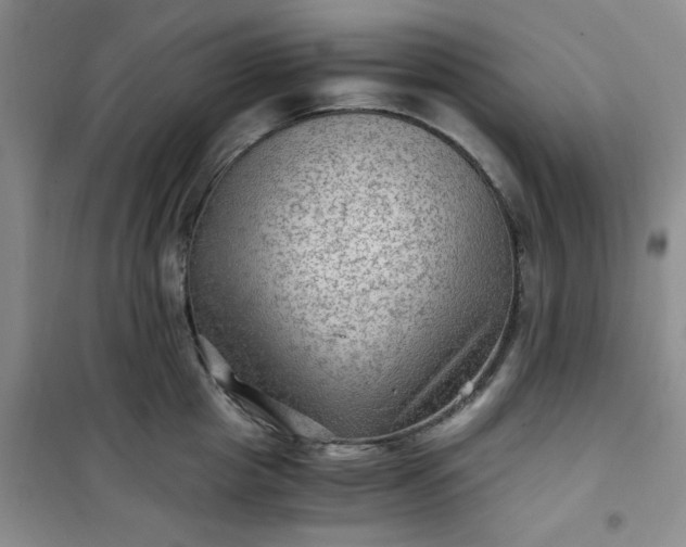 X0000100950857200807081217