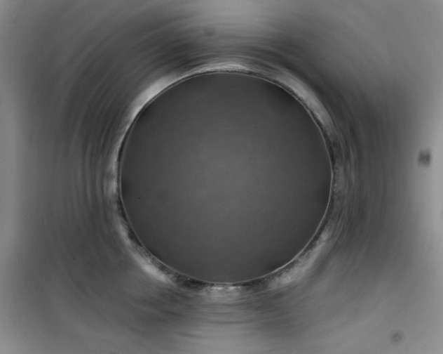 X0000100950858200807081217