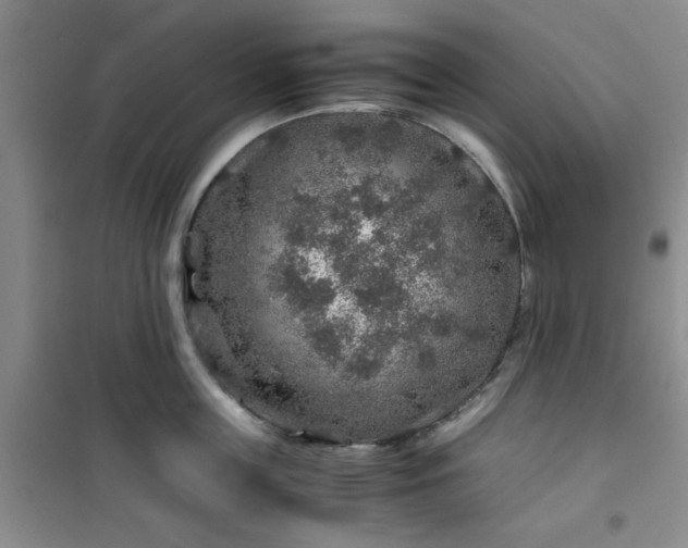 X0000100950859200807081217