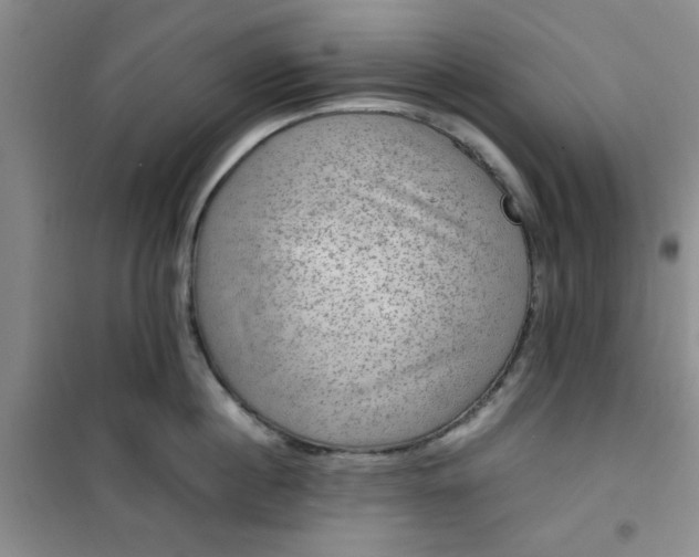 X0000100950860200807081217