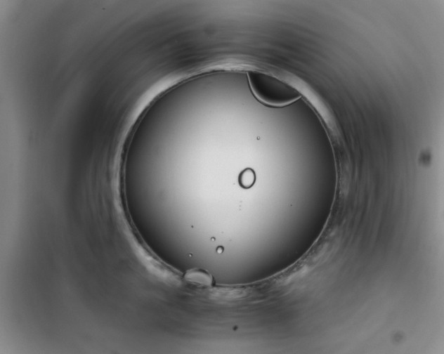 X0000100950861200807081217