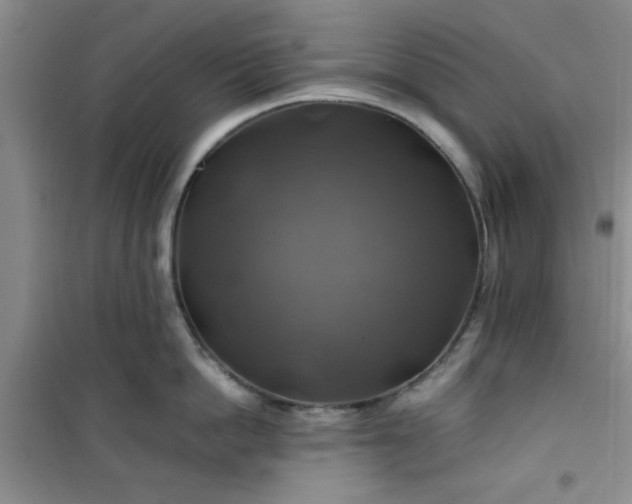 X0000100950862200807081217