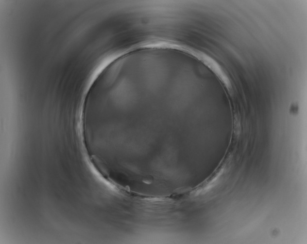 X0000100950863200807081217