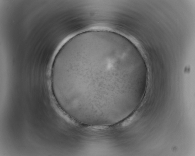 X0000100950864200807081217